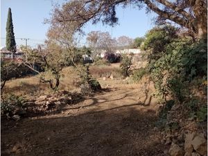 Terreno en Venta en Santa María Ahuacatitlán Cuernavaca