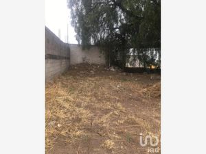 Terreno en Venta en San Andrés de la Cañada Ecatepec de Morelos