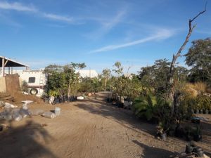 Terreno en Renta en Lagunitas Los Cabos