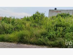 Terreno en Venta en Cerro del Cuatro 1ra. Sección San Pedro Tlaquepaque