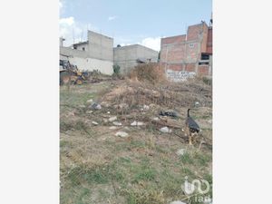 Terreno en Venta en San Jerónimo Cuatro Vientos Ixtapaluca