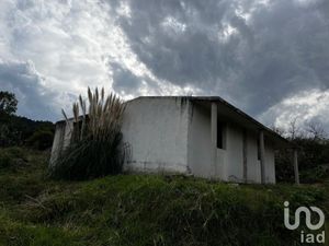 Terreno en Venta en San Luis Boro Atlacomulco