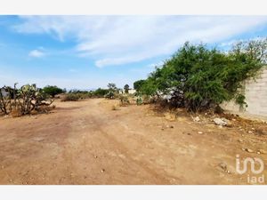 Terreno en Venta en Santa Bárbara Huichapan