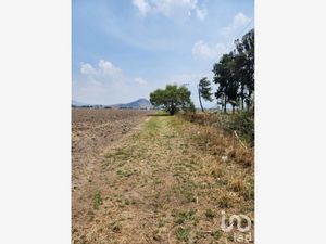 Terreno en Venta en San Gregorio Cuautzingo Chalco