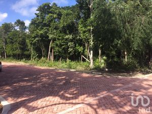 Terreno en Venta en Ciudad Chemuyil Tulum