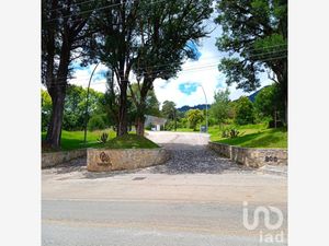 Terreno en Venta en La Quinta San Martín San Cristóbal de las Casas