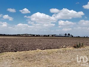 Terreno en Venta en San Francisco Zacacalco Hueypoxtla