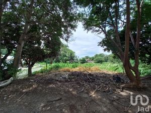 Terreno en Venta en Lomas de Comala Comala