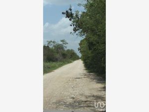 Terreno en Venta en Ciénega 2000 Progreso