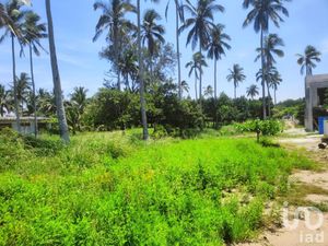 Terreno en Venta en Monte Gordo Tecolutla