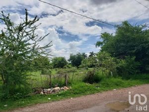 Terreno en Venta en Santiago Yautepec