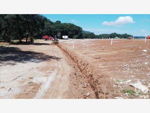 Terreno en Venta en Morelos Omitlán de Juárez