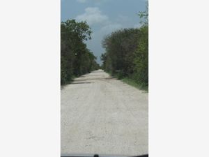 Terreno en Venta en Ciénega 2000 Progreso