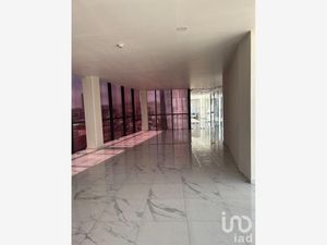 Edificio en Renta en Zona Plateada Pachuca de Soto