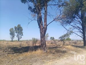 Terreno en Venta en Loza de Barrera Silao de la Victoria