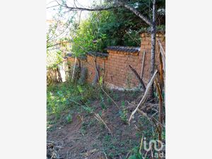 Terreno en Venta en Cuxtitali San Cristóbal de las Casas