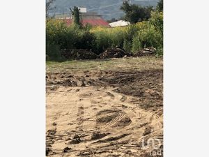 Terreno en Venta en San Esteban Tizatlán Tlaxcala