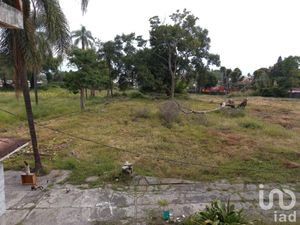 Terreno en Venta en Cantarranas Cuernavaca