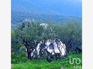 Finca/Rancho en Venta en San Isidro San Luis de la Paz