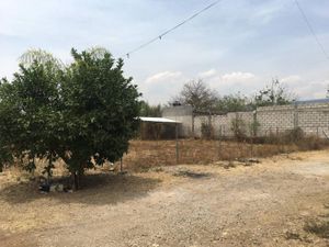 Terreno en Venta en Ahuatepec Cuernavaca