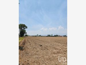 Terreno en Venta en San Gregorio Cuautzingo Chalco