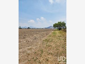 Terreno en Venta en San Gregorio Cuautzingo Chalco