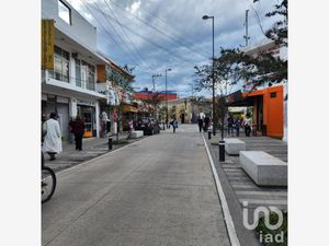 Edificio en Renta en Chalco de Díaz Covarrubias Centro Chalco