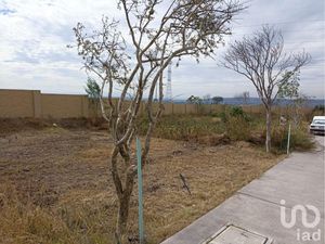 Terreno en Venta en Berceto Apaseo El Grande