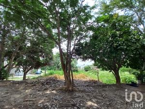 Terreno en Venta en Lomas de Comala Comala