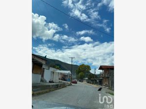 Terreno en Venta en Los Lirios Arteaga