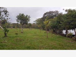 Terreno en Venta en Tebanca Catemaco