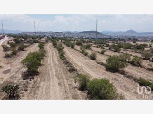 Terreno en Venta en El Saucillo Mineral de la Reforma