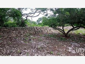 Terreno en Venta en Papagayos Hunucmá