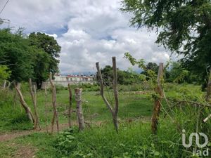 Terreno en Venta en Santiago Yautepec