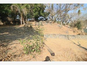 Terreno en Venta en Burgos Temixco