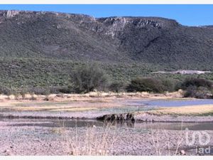 Finca/Rancho en Venta en San Isidro San Luis de la Paz