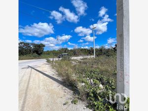 Terreno en Venta en Papagayos Hunucmá