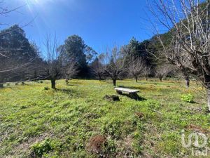 Terreno en Venta en Las Peras San Cristóbal de las Casas