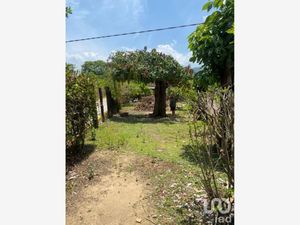 Terreno en Venta en Del Valle Tonalá