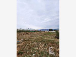 Terreno en Venta en Chalco de Díaz Covarrubias Centro Chalco