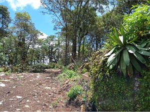 Terreno en Venta en San José San Cristóbal de las Casas