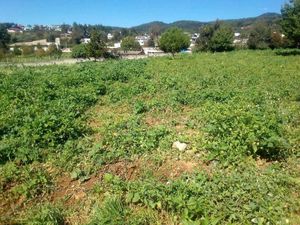 Terreno en Venta en Eloxochitlán Zacatlán