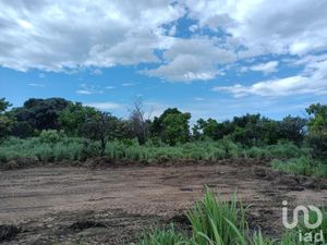 Terreno en Venta en Los Corazones San Pedro Tapanatepec