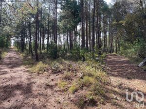 Terreno en Venta en Cerro Gordo Omitlán de Juárez