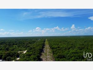 Terreno en Venta en Playa del Carmen Solidaridad