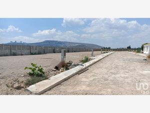 Terreno en Venta en San Francisco de la Charca Irapuato