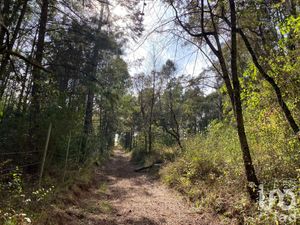 Terreno en Venta en Cerro Gordo Omitlán de Juárez