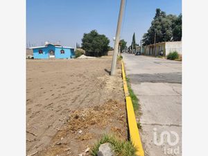 Terreno en Venta en San Lorenzo Chimalpa Chalco