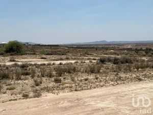Terreno en Venta en La Escondida Zacatecas