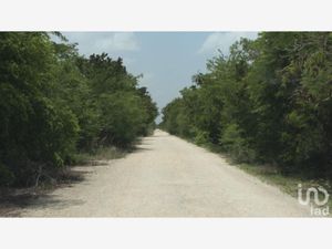 Terreno en Venta en Ciénega 2000 Progreso